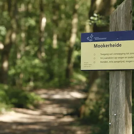 With Washing Machine At A In A Natural Area * Mook
