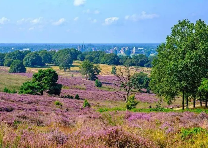 Дом отдыха Romantic In