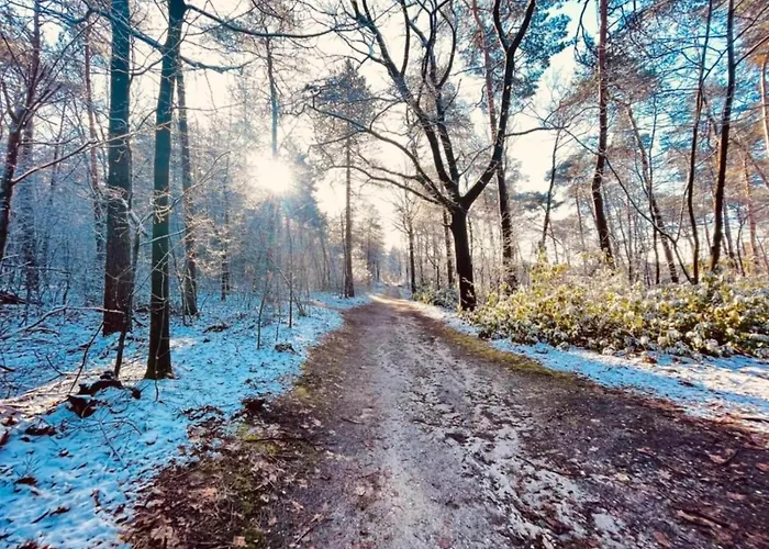 Дом отдыха Romantic In Mook