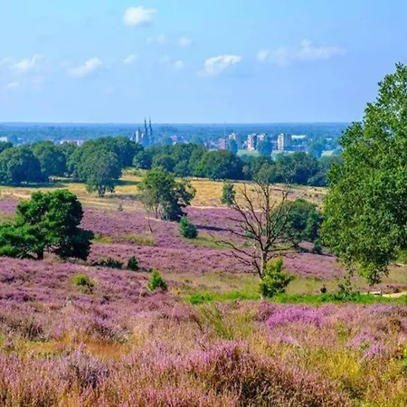 Prázdninový dům Romantic In